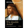 Wie doodde Jezus?: een ongelooflijke geschiedenis