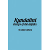 Kundalini : The Energy of the Depths : A Comprehensive Study Based on the Scriptures of Nondualistic Kasmir Saivism (Suny Series in the Shaiva ... Series in the Shaiva Traditions of Kashamir)