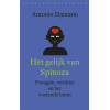 Reeks wetenschap Het gelijk van Spinoza: vreugde, verdriet en het voelende brein (Dutch Edition)