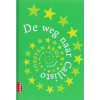 De weg naar Callisto