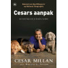 Cesars Aajpak - Om Weer Baas Over Je Hond Te Worden