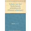 Schets van het Nederlands arbeidsrecht (Kluwer schetsen) (Dutch Edition)