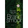 Brandsmoor
