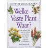 Welke vaste plant waar ?