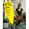 Boven in de stad
