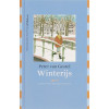 Winterijs