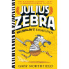 Rollebollen met de Romeinen (Julius Zebra) (Dutch Edition)