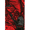 Vlam (Inkt-trilogie, 2)