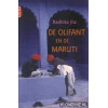 De olifant en de Maruti: verhalen