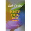 Knipoog in de wind: verhalen liedjes gedichten en andere teksten