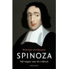 Spinoza: vijf wegen naar de vrijheid