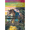 Geheimen, raadsels en buikvlinders (Pony friends)