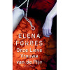 Onze Lieve Vrouwe van de Pijn