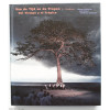 Of Time and the Tropics: Del Tiempo y el Tropico - Van de Tijd en de Tropen