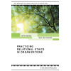 Practicing Relational Ethics in Organizations