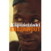 Ebbenhout