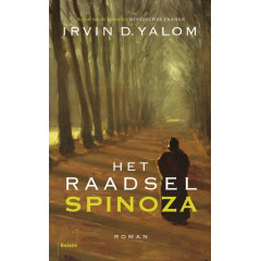 Het Raadsel Spinoza