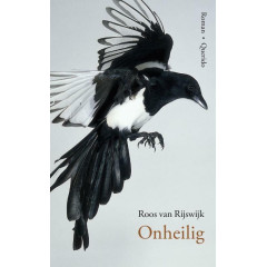 Onheilig: Roman (Dutch Edition)