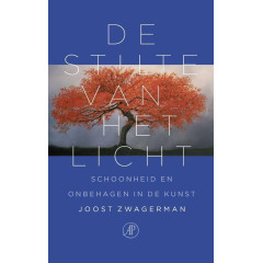 De stilte van het licht: schoonheid en onbehagen in de kunst (Dutch Edition)