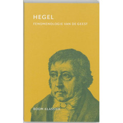 Fenomenologie van de geest