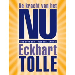 De kracht van het NU: gids voor spirituele verlichting