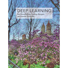 Deep Learning (Adaptive Computation and Machine Learning series)
