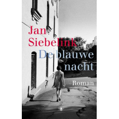 De blauwe nacht: roman (Dutch Edition)