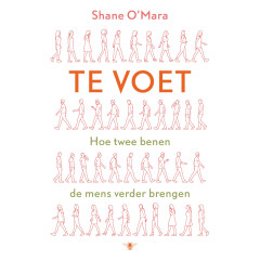Te voet: hoe twee benen de mens verder brengen