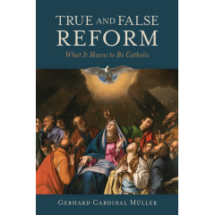 True and False Reform: What It Means to Be Catholic