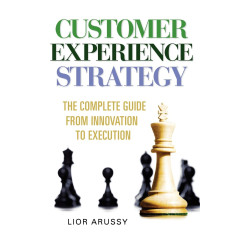 Customer Experience Strategy-Paperback
