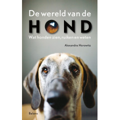 De wereld van de hond: Wat honden zien, ruiken en weten