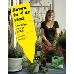 Boven in de stad