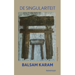 De singulariteit