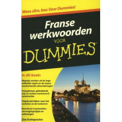 Franse werkwoorden voor dummies (Dutch Edition)