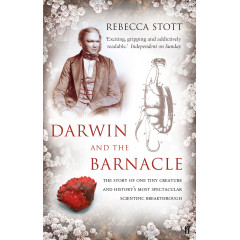 Darwin and the Barnacle