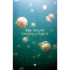 Onredelijkheid