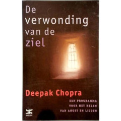 De verwonding van de ziel: een programma voor het helen van angst en lijden