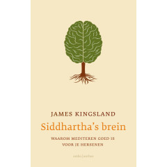 Siddhartha's brein: waarom mediteren goed is voor je hersenen