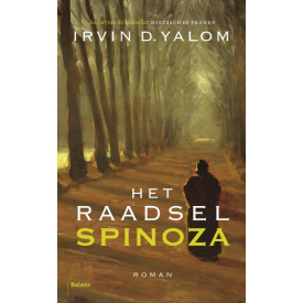 Het Raadsel Spinoza