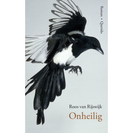 Onheilig: Roman (Dutch Edition)