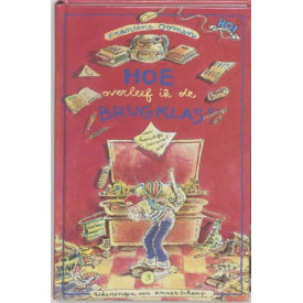 Hoe overleef ik de brugklas? (Hoi, #3)