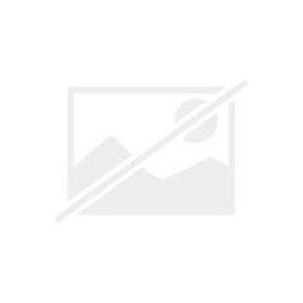 Woltersʼ ster woordenboek Nederlands-Spaans (Wolters' ster woordenboek) (Dutch Edition)