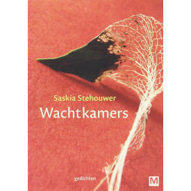 Wachtkamers: gedichten (Dutch Edition)