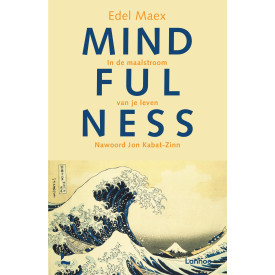 Mindfulness: in de maalstroom van je leven