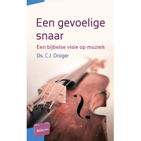 Een gevoelige snaar: Een bijbelse visie op muziek (Artios-reeks)