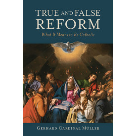 True and False Reform: What It Means to Be Catholic