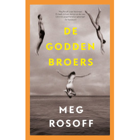 De Godden broers (Zomerdrieluik, 1)