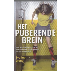 Het puberende brein