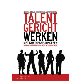 Talentgericht werken met kwetsbare jongeren: ontwikkelwerk, erkenningswerk, verbindingswerk