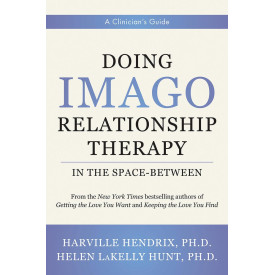 Doing Imago Relationship Therapy in the Space-Between: A Clinician's Guide